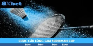 cuoc-cau-long-giai-sudirman-cup_11zon